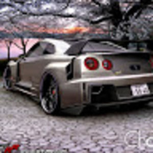 Meet your Posher, Brayden